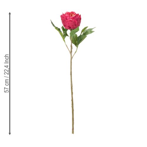 Artikel Künstliche Pfingstrose 58cm – Hochwertige Kunstblume für stilvolle Dekoration