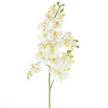 Floristik21.de Künstliche Orchideen Kunstblumen im Topf Weiß 60cm-07749