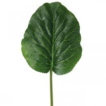 Artikel Künstliche Grünpflanze Bergenie Grün Kunstpflanze 53cm