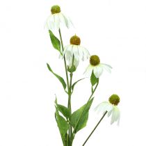 Artikel Echinacea Blüte künstlich Weiß 90cm