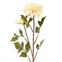Artikel Chrysantheme Creme Deko-Blume 70cm – Pflegeleichte Kunstblume für stilvolle Raumgestaltung