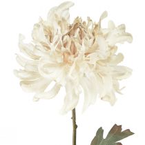 Artikel Chrysanthemen Künstlich in Creme, Elegante Dekoblumen für Innenräume und Events, 72cm, 2er-Set