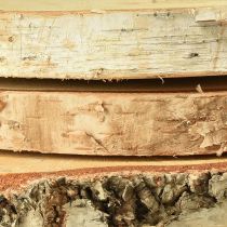 Artikel Birkenholz Baumscheiben mit Rinde Ø20-22cm – Natürliche Deko-Holzscheiben im 3er-Set für Tischdeko & DIY