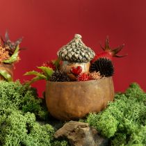 Keramik Eichel Haus Dekoeicheln mit Herzmotiv Braun 6cm - Herbstliche Tischdeko – 6St