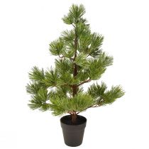Künstliche Mini-Kiefer im Topf als Tisch-Weihnachtsbaum, Grün, H72cm