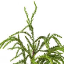 Artikel Künstlicher Tannenbaum im Topf Mini Nadelbaum 68cm pflegeleicht robust