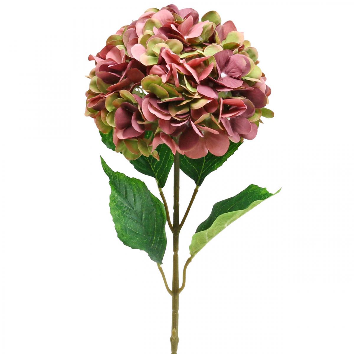 Floristik21.de Hortensie Bordeaux groß künstlich Kunstblume Rosa, 80cm-69802