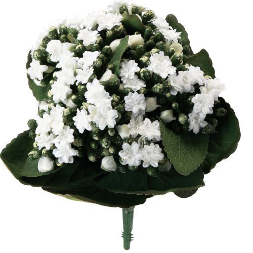 Artikel Kalanchoe künstlich Flammendes Käthchen Weiß 24cm