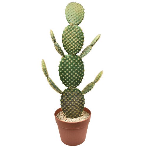 Floristik21 Deko Kaktus Künstliche Topfpflanze Feigenkaktus 64cm