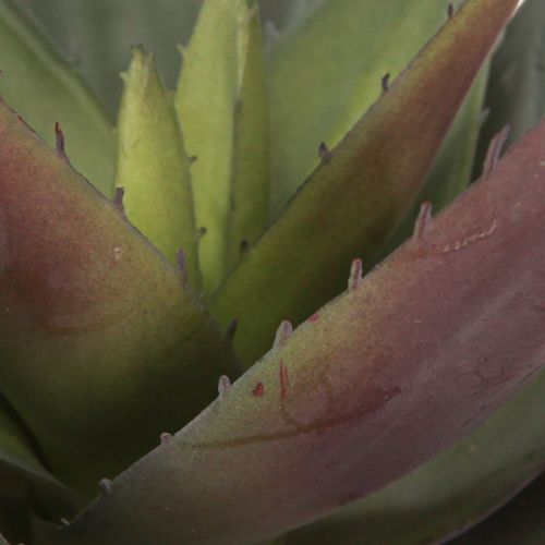 Artikel Lila Aloe Vera Kunstpflanze 18cm - Dekorative Künstliche Sukkulenten für Floristen