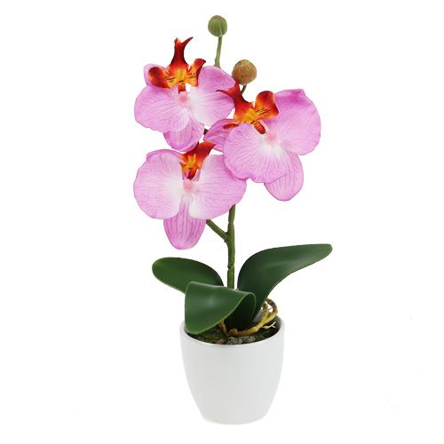 Floristik21.de Deko Orchidee im H29cm-60163-20 Rosa Topf