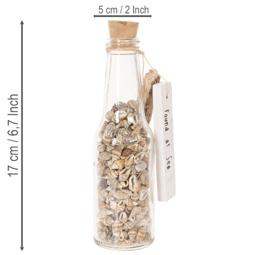 Artikel Glasflasche Set mit Muscheln und Anhänger, ca. 17 cm, Naturdeko, 2 Stück
