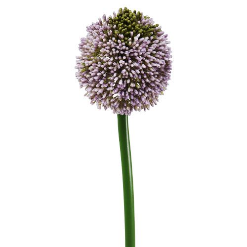 Ø10cm Allium Floristik21.de Kunstblumen Lila L65cm-73694