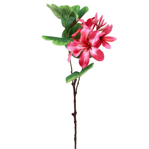 Floristik21 Künstlicher Orchideenzweig Bauhinia Pink Kunstpflanze 62cm