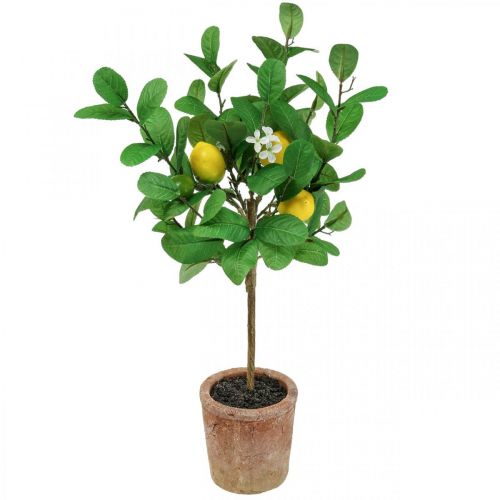 Floristik21 Künstlicher Zitronenbaum im Topf Zitronenbäumchen 58cm