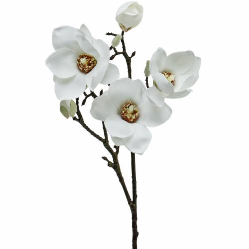Floristik21.de Magnolienzweig Weiß Kunstblume-11911 Dekozweig Magnolie