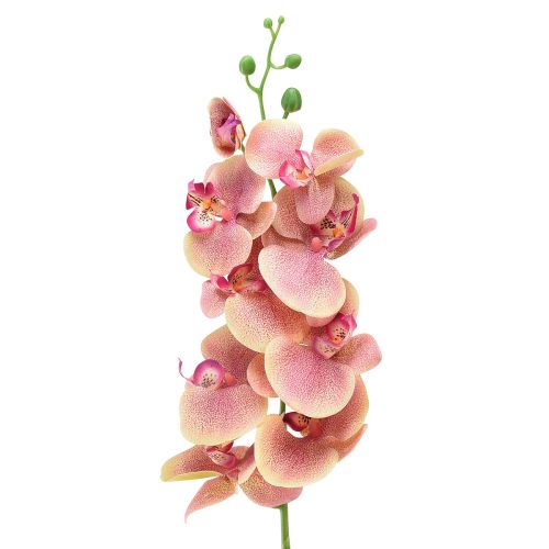 Floristik21 Orchidee Phalaenopsis künstlich 9 Blüten Pink Vanille 96cm