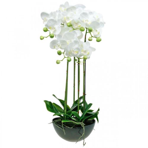 Floristik21.de Kunstpflanze Weiß 63cm-67300 Künstliche Orchideen Topf im