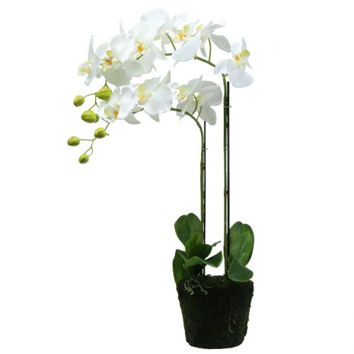 Artikel Orchidee Weiß auf Erdballen 65cm