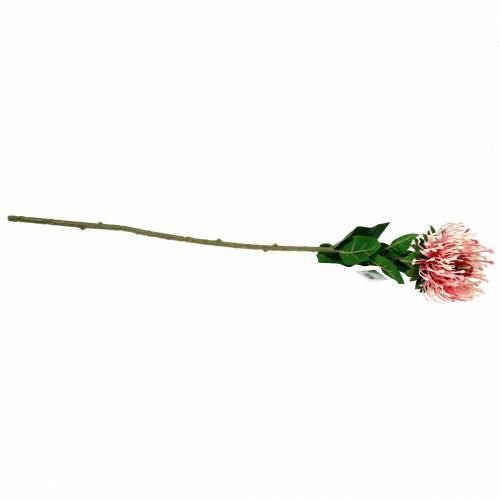 Floristik21.de 73cm-65214 Protea Künstlich Rosa