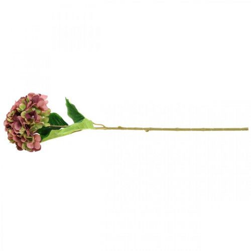 Floristik21.de Hortensie künstlich 80cm-69802 Bordeaux groß Rosa, Kunstblume