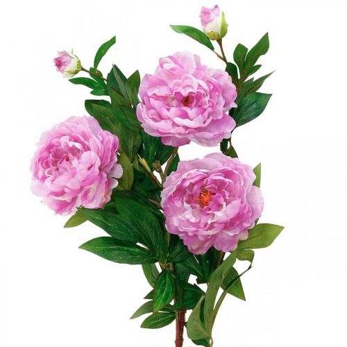Floristik21.de Seidenblume Pfingstrose künstlich Pink 135cm-08310 Violett
