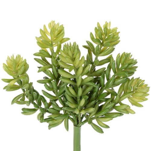 Artikel Sukkulente Kunststoff-Kunstblume 15 cm für Innenraumgestaltung 6er-Set