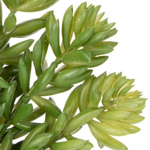 Artikel Sukkulente Kunststoff-Kunstblume 15 cm für Innenraumgestaltung 6er-Set