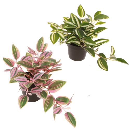 Tradescantia Künstliche Topfpflanze Deko im Set - Farbige Eleganz