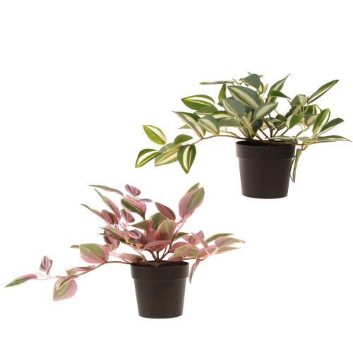 Artikel Tradescantia Künstliche Topfpflanze Deko im Set - Farbige Eleganz