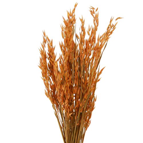 Trocken-Deko Hafer Orange 64cm Herbstdeko Floristik 70-75g 2St