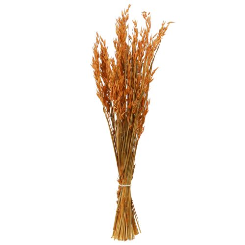 Artikel Trocken-Deko Hafer Orange 64cm Herbstdeko Floristik 70-75g 2St