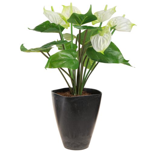 Artikel Orchideentöpfe Plastik Anthrazit 13,5x13x16,5cm 4er Set für Floristen