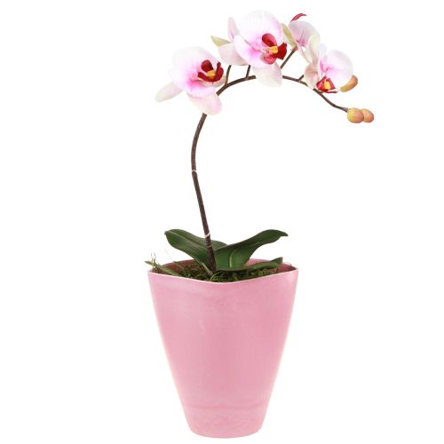 Blumentopf Plastik Vase Pink Orchideen Deko H16,5cm 4St