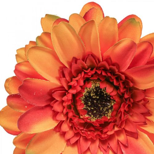 Floristik21.de Künstliche Gerbera Blume, Kunstblume Orange Ø11cm 50cm-08150