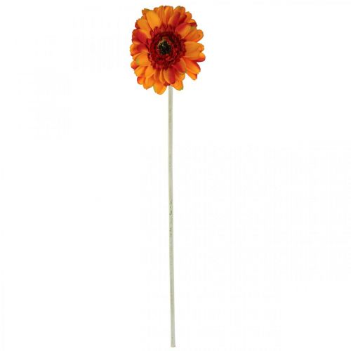 Künstliche Gerbera Orange Kunstblume Ø11cm 50cm-08150 Blume, Floristik21.de