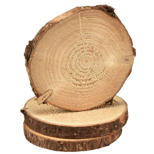 Artikel Naturbelassene Mini Baumscheiben mit Rinde Ø8-9cm 9er Set - Vielseitigkeit für Dekoration und Handwerk