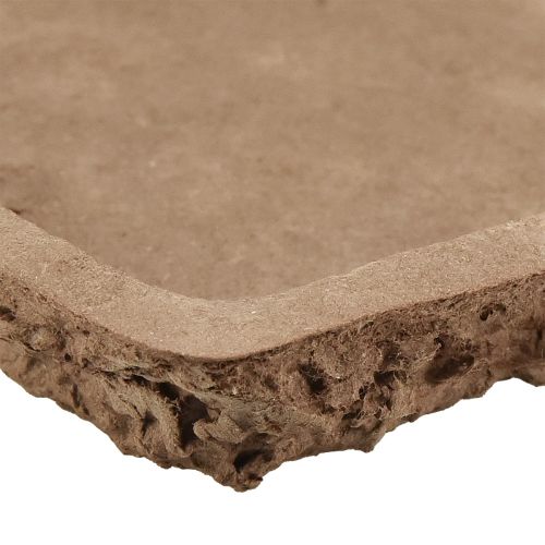 Artikel Oasis Biolit Unterlage für Steckschaum-Ziegel 25×14×2cm 11St