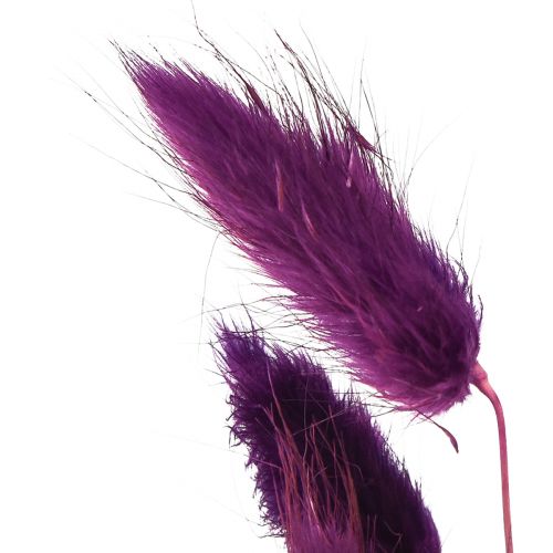 Artikel Samtgras Violett, Hasenschwanz-Gras, Lagurus L18-50cm 25g