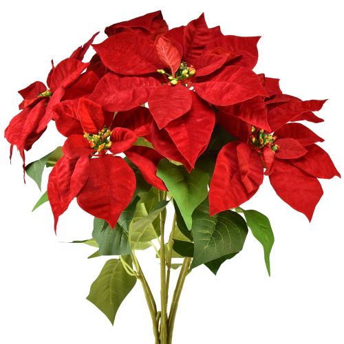 Weihnachtsstern Künstlich Rot Grün L57cm – Festliche Deko für Gastronomie und Events