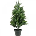 Floristik21 Künstlicher Weihnachtsbaum im Topf LED für draußen 90cm
