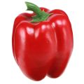 Floristik21 Deko Gemüse Paprika Rot Attrappe Kunststoff H10cm – Authentische Küchendeko