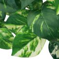 Floristik21 Efeutute Pothos Efeu künstlich Goldranke 50cm