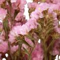 Floristik21 Strandflieder Rosa Limonium Trockenblumen 60cm 50g