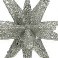 Floristik21 Sterne mit Glimmer champagner 11,5cm 4St