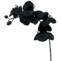 Floristik21 Orchidee zum Dekorieren Schwarz 54cm